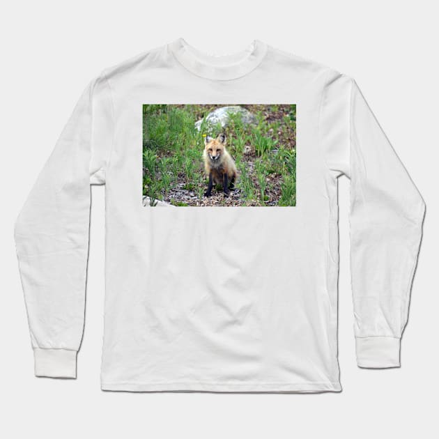 Satisfied Fox Long Sleeve T-Shirt by Leslie Pino Durant